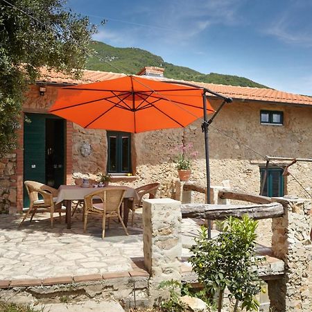 Casa Berti - Urlaub Im Olivenhain Камайоре Екстер'єр фото