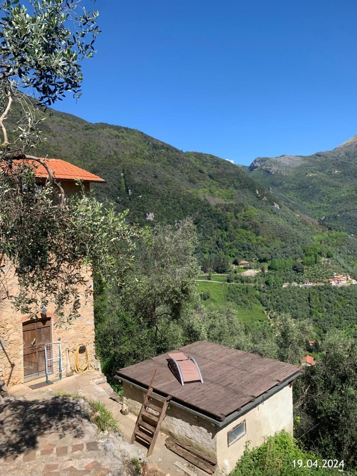 Casa Berti - Urlaub Im Olivenhain Камайоре Екстер'єр фото